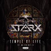 Temple of Life (Original Mix)