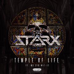 Temple of Life (Original Mix)