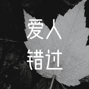 爱人错过（为歌而赞版）