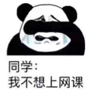 起床，上网课了！！！