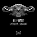 Elephant专辑