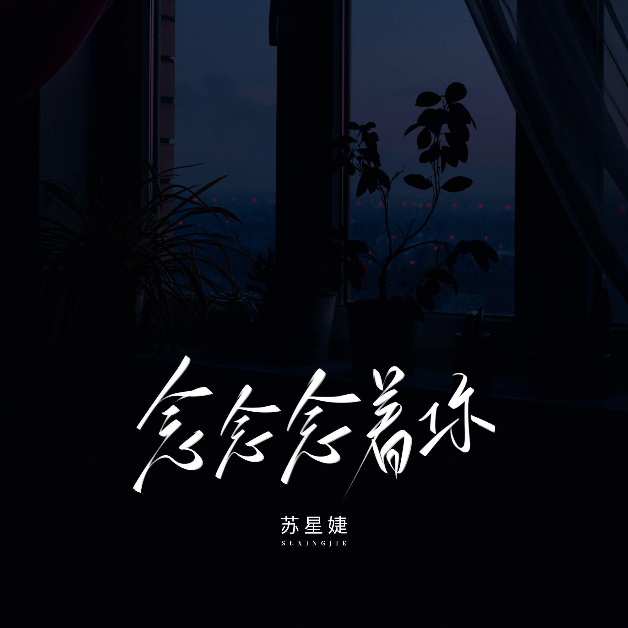 念念念着你