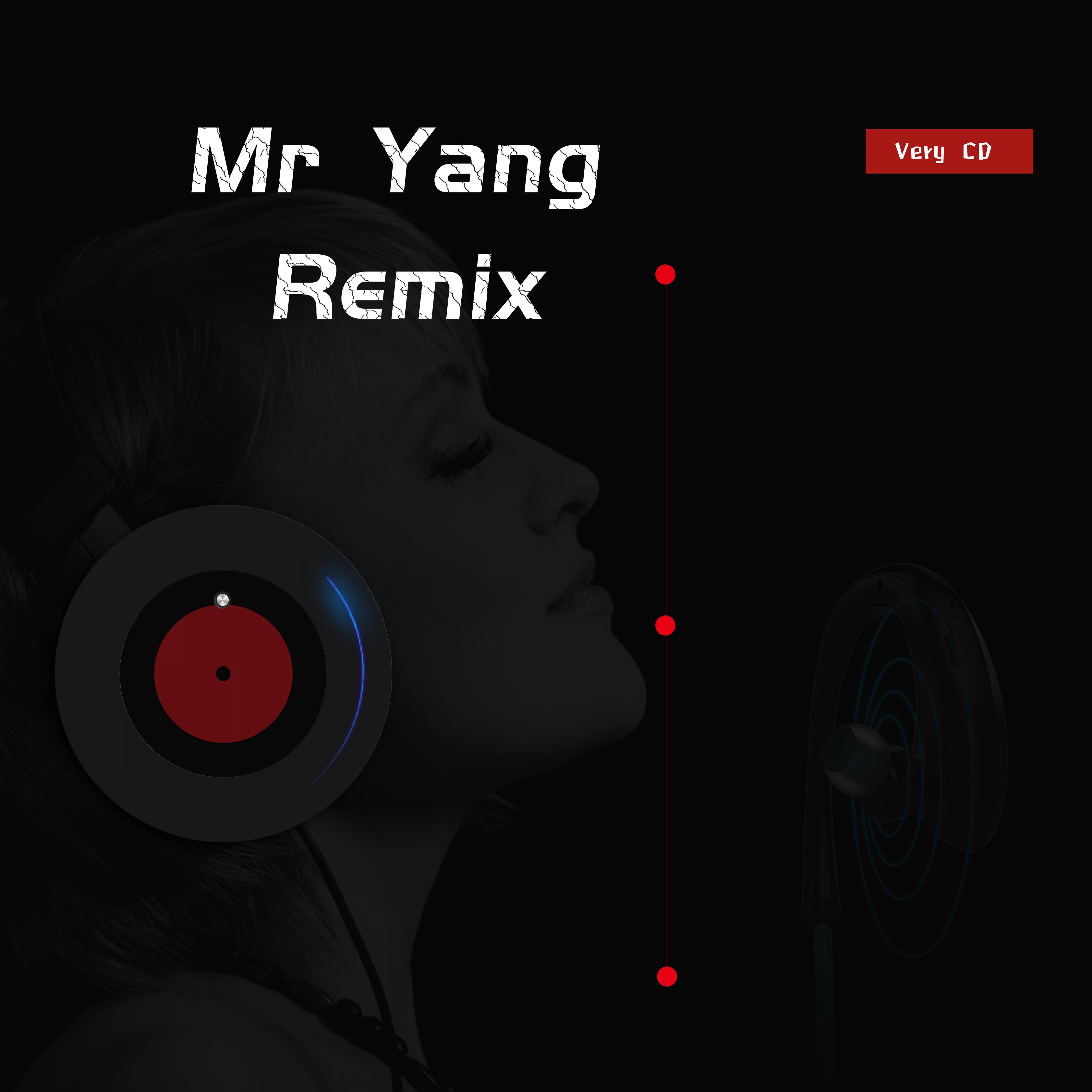 Mr Yang Non Stop 合集专辑