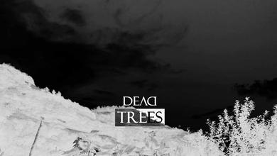 DeadTrees