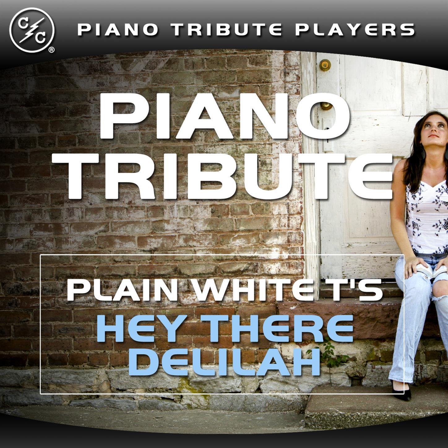 Hey There Delilah (Plain White T's Piano Tribute)专辑