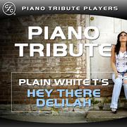 Hey There Delilah (Plain White T's Piano Tribute)