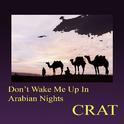 Don't Wake Me Up In Arabian Nights专辑