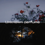 无名氏香水 (Unknown perfume)专辑