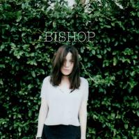 Bishop Briggs - Wild Horses (Pre-V) 带和声伴奏