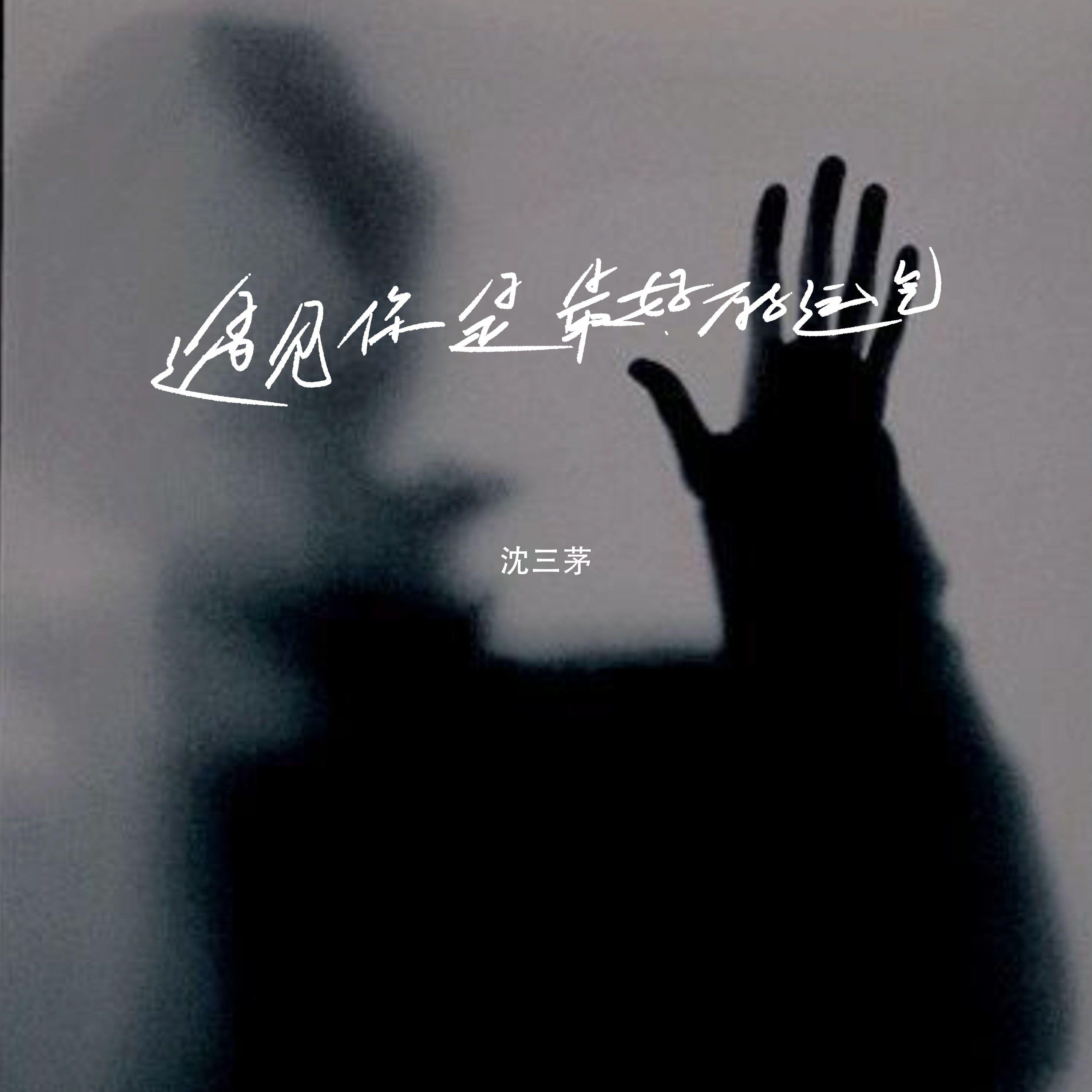 遇见你是最好的运气