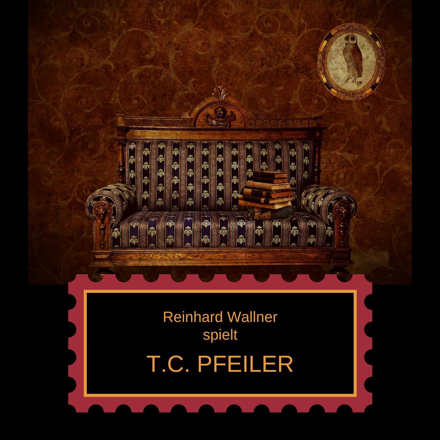Reinhard Wallner spielt T.C. Pfeiler