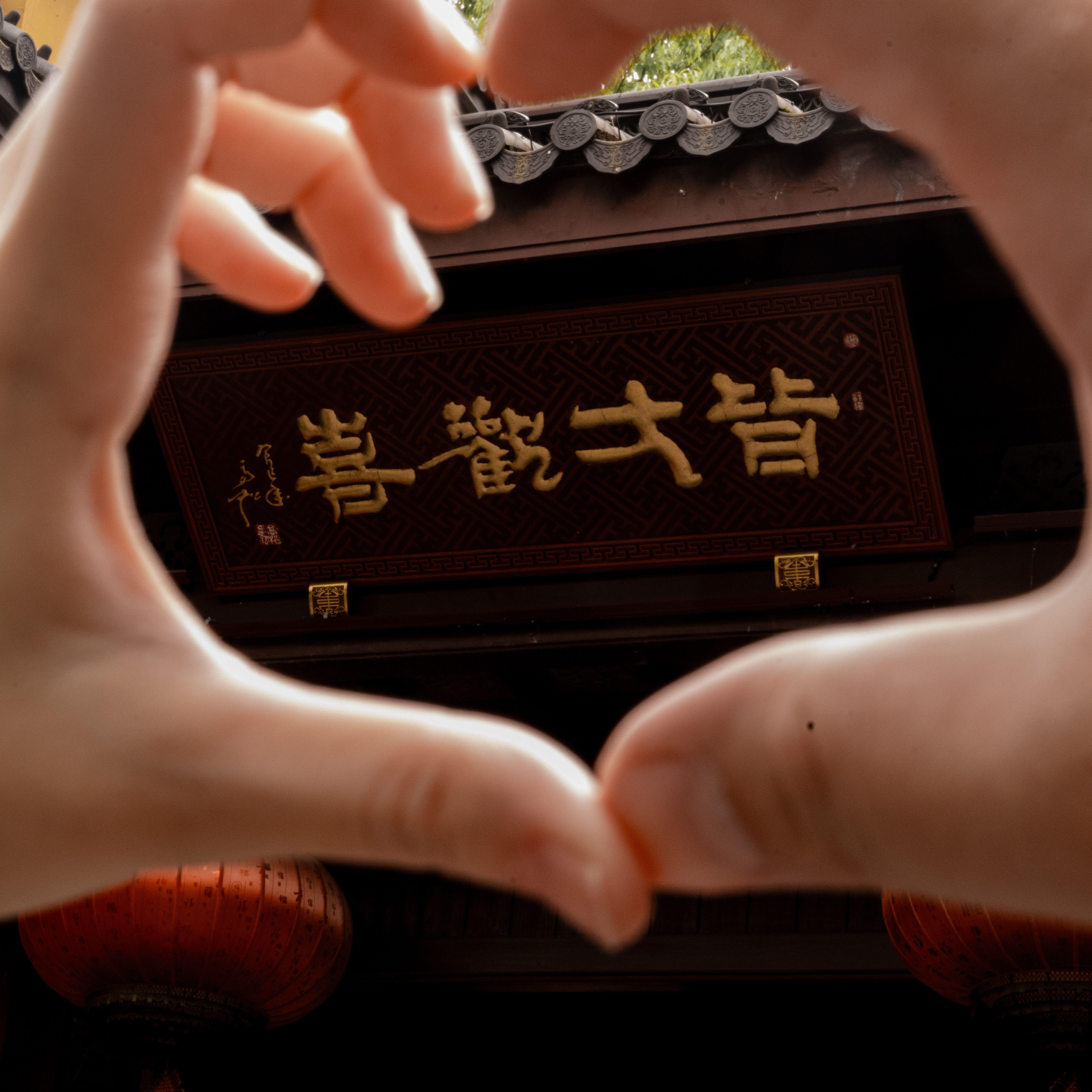 兔子和熊