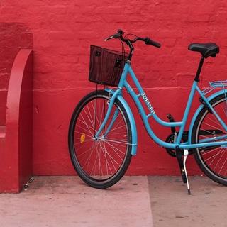 暖心小调｜藏匿冬日里的治愈宝藏