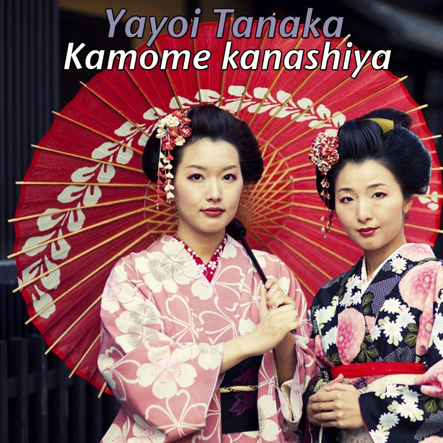Kamome Kanashiya
