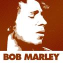 48 Essential Rasta Songs By Bob Marley专辑