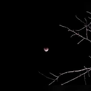 那夜空的月也不再亮
