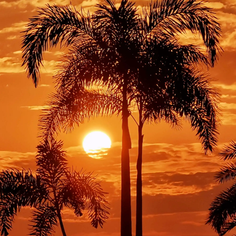 Stay (feat. Betsy Blue)[Slowed]