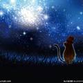 Kitty's constellation