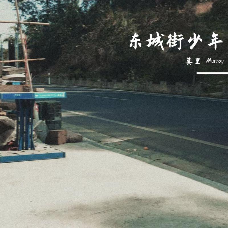 东城街少年