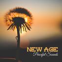 New Age Peaceful Sounds – Soothing Melodies, Nature Waves, Healing Therapy, Mind Peace专辑