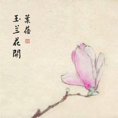 玉兰花开