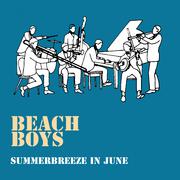 Summerbreeze in June