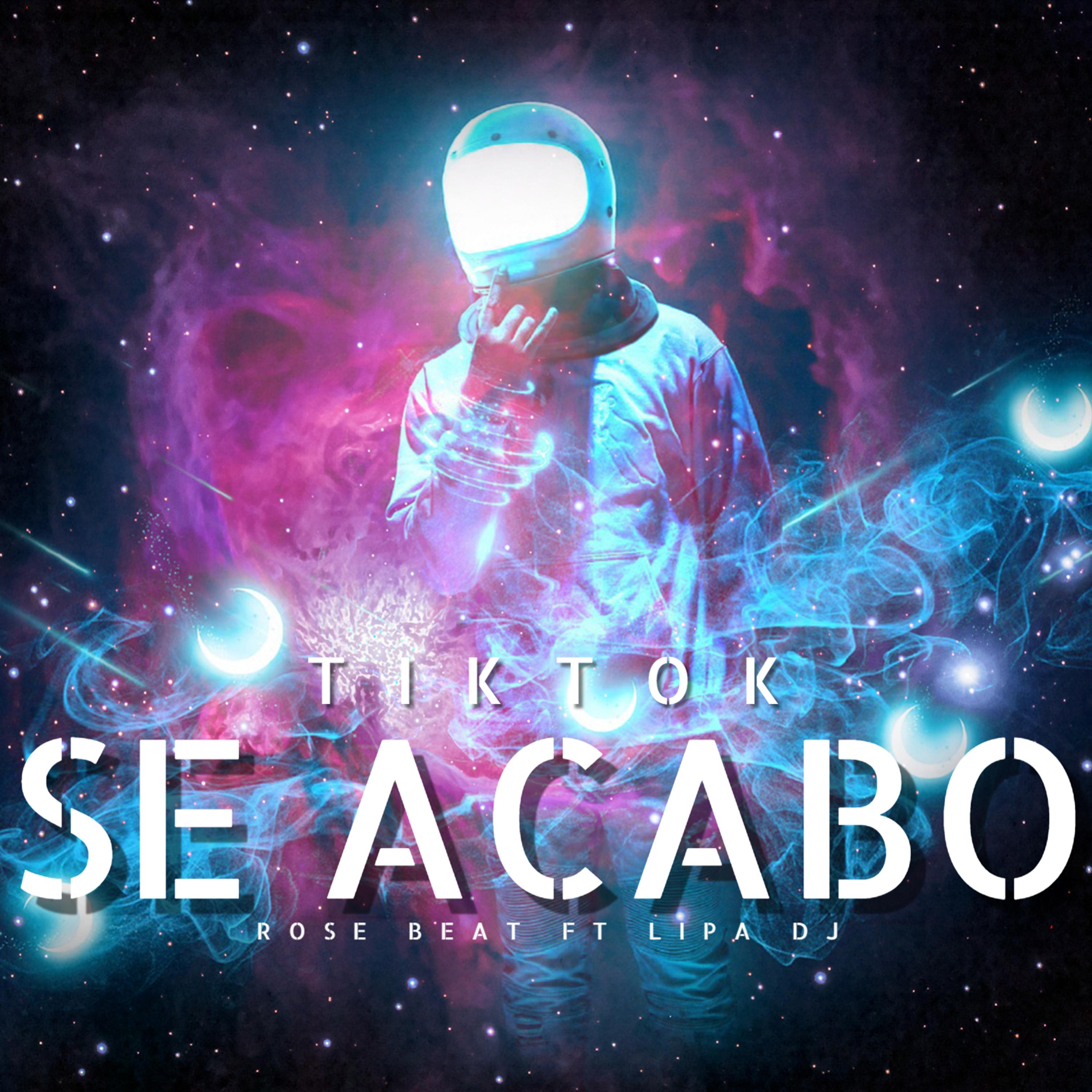 Se Acabo Tik Tok (Remix)