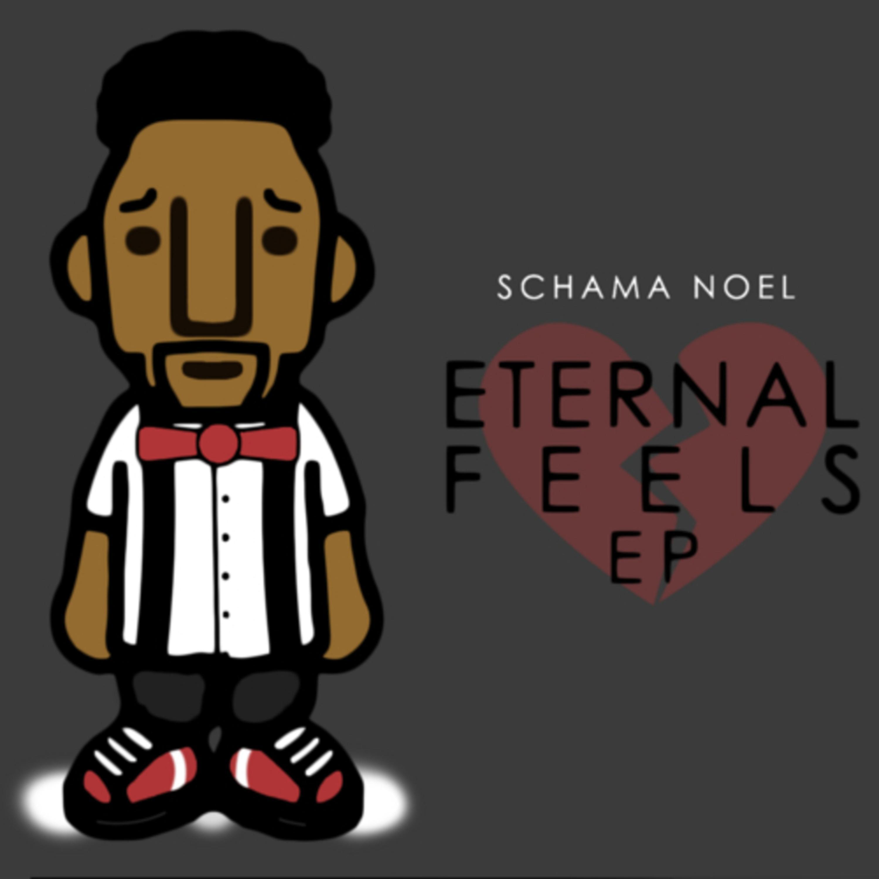 Schama Noel - Type of Party