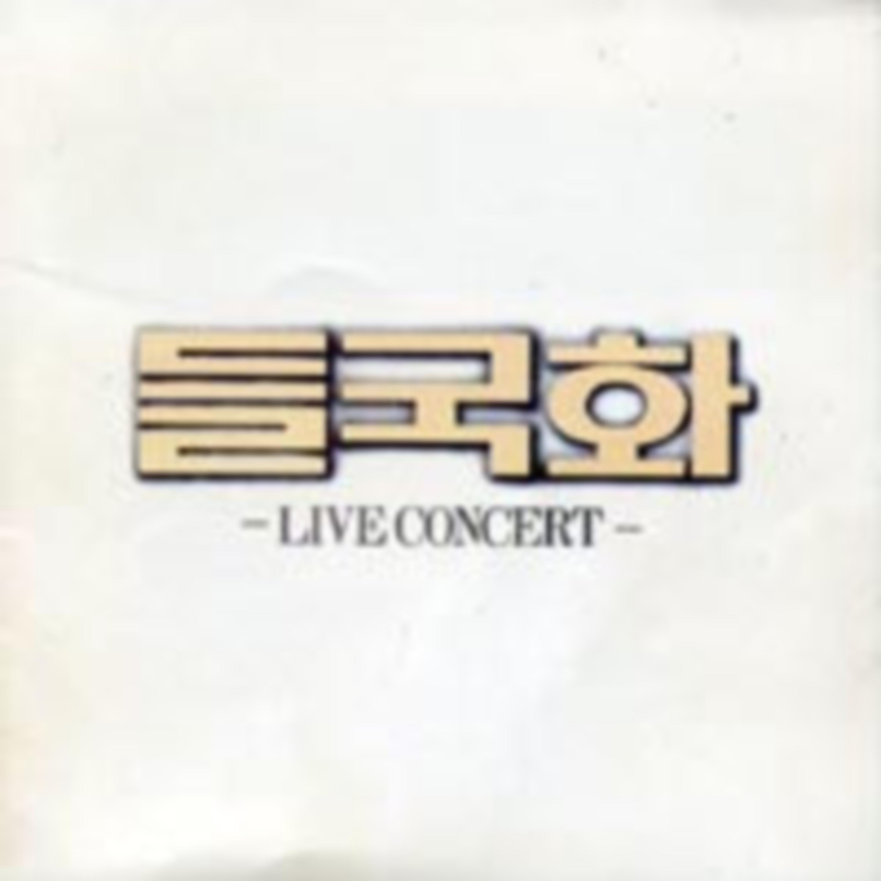 들국화 Live Concert