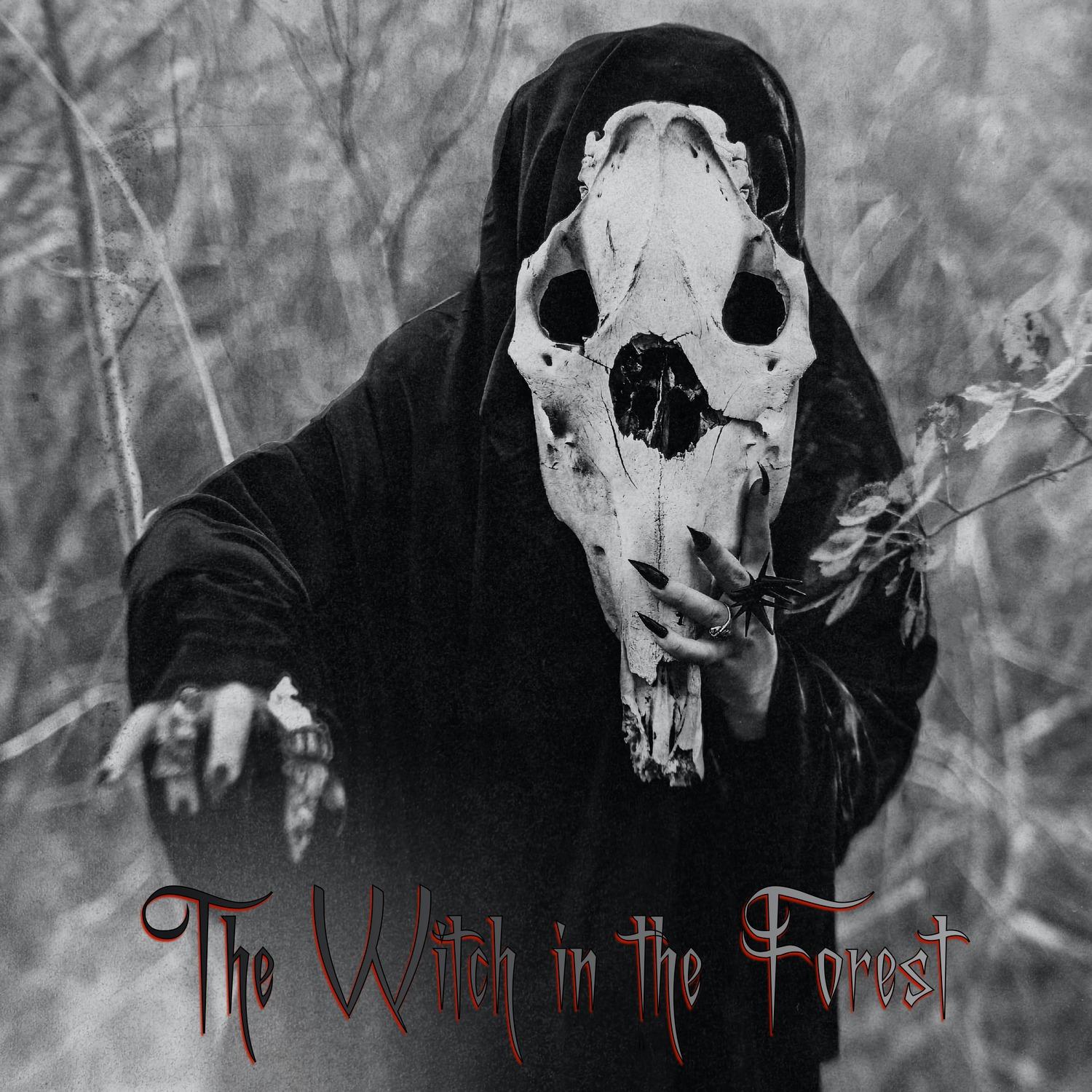 The Witch in the Forest