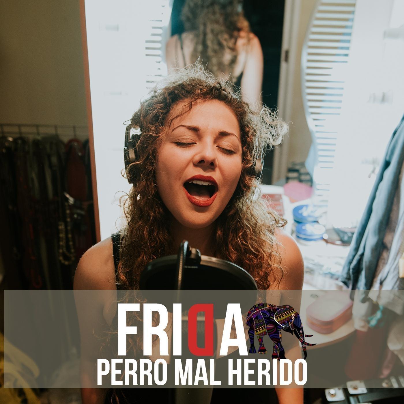 Perro Mal Herido