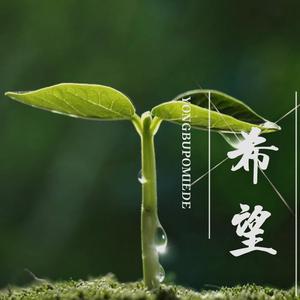 赵万梅 - 中国希望(伴奏) 制作版