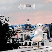 석양에 물든 새