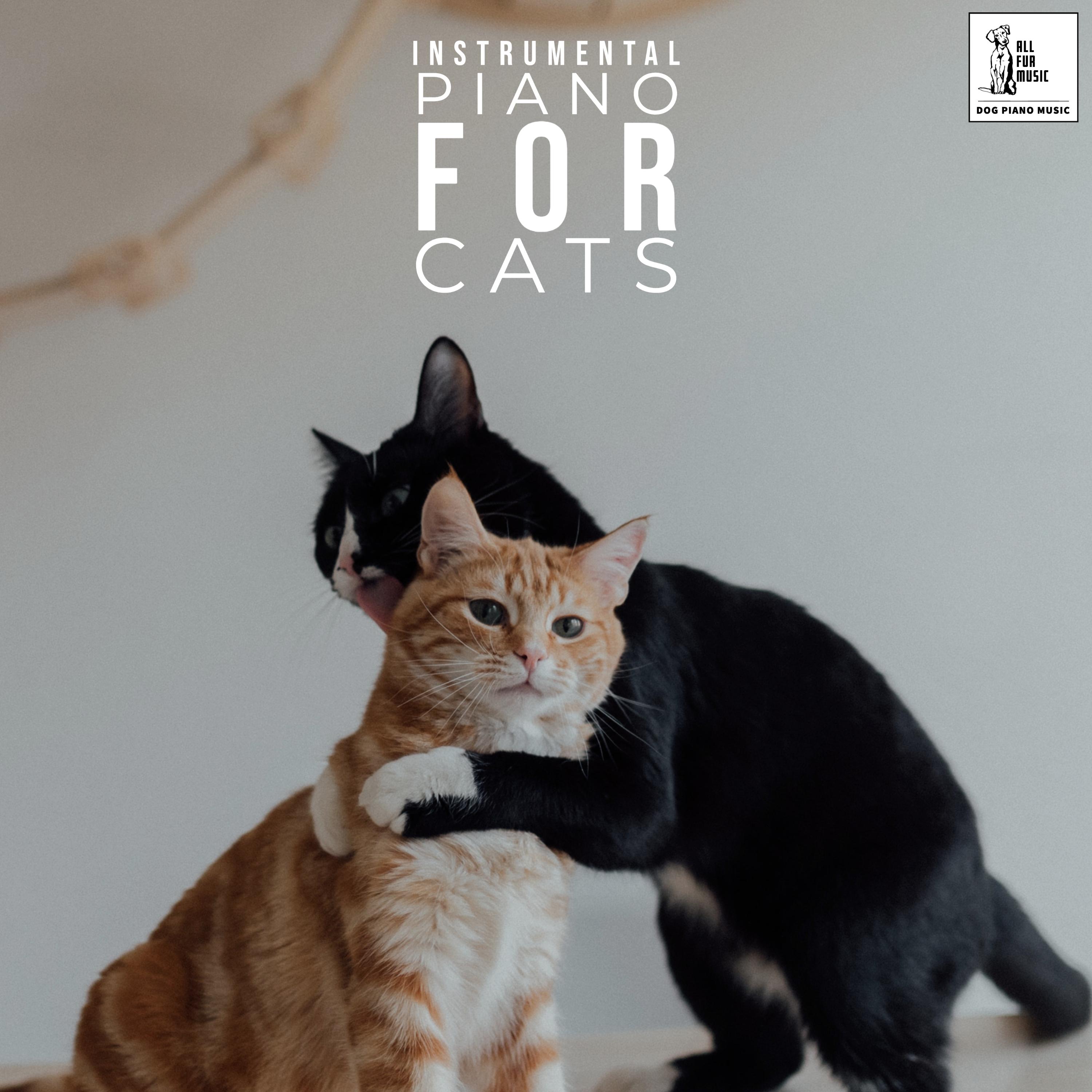 Instrumental Piano For Cats