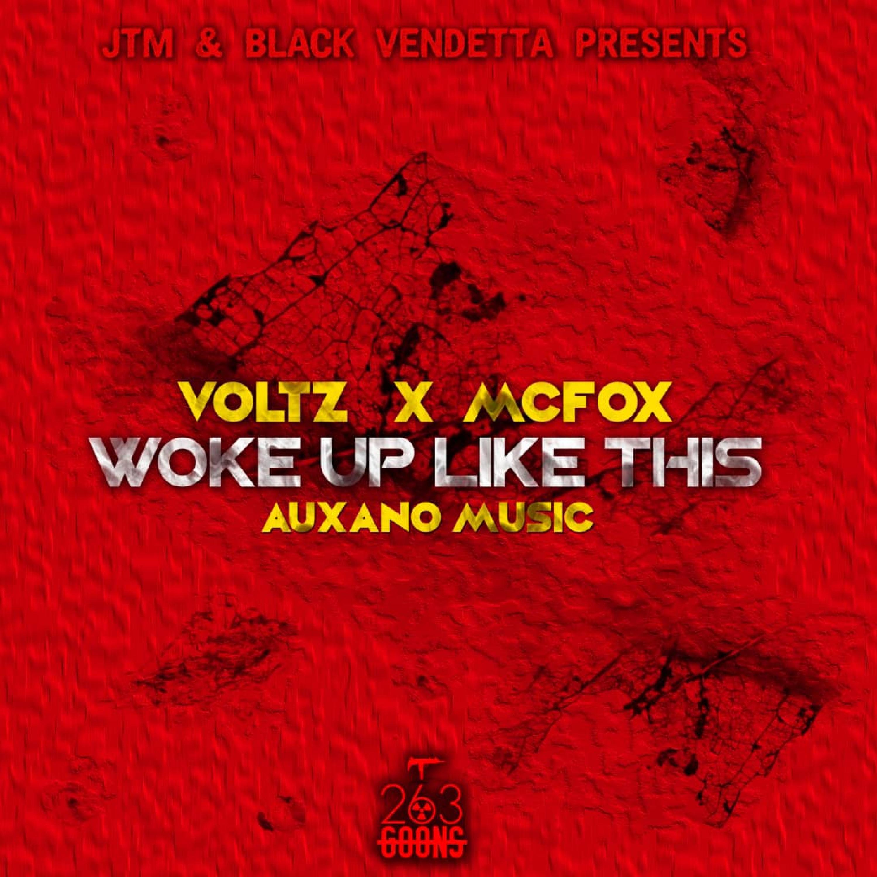 Voltz JT - Woke Up Like This (feat. Mac Fox)