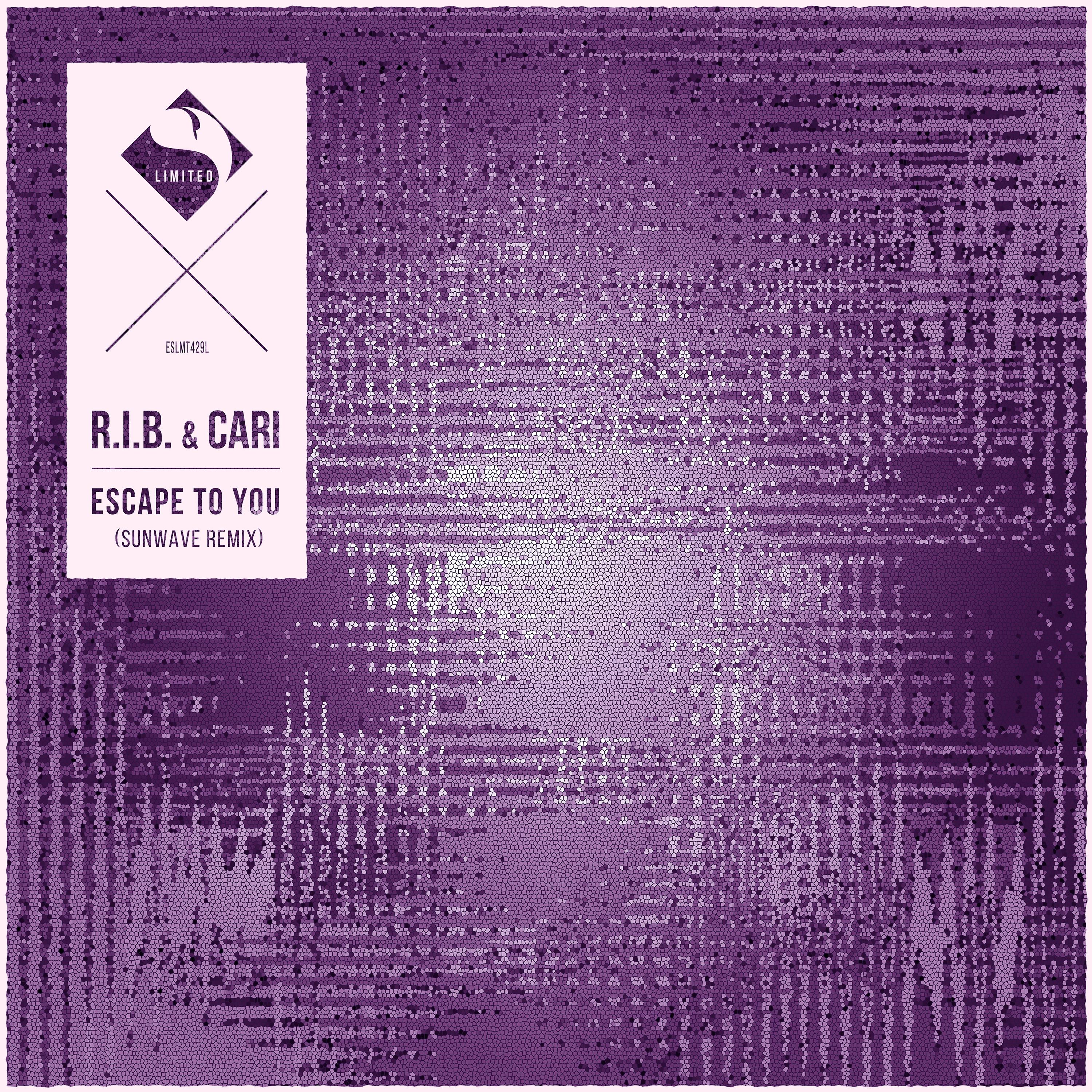 Escape to You (Sunwave Remix)