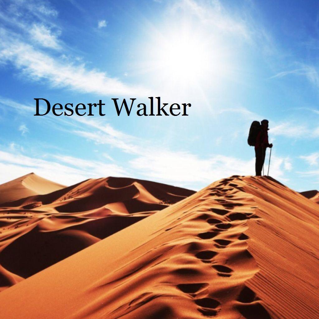 Desert Walker专辑