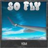 YGM - So Fly