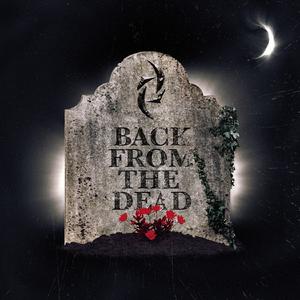 Halestorm - Back from the Dead (BB Instrumental) 无和声伴奏