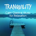 Tranquility: Calm Classical Music for Relaxation专辑