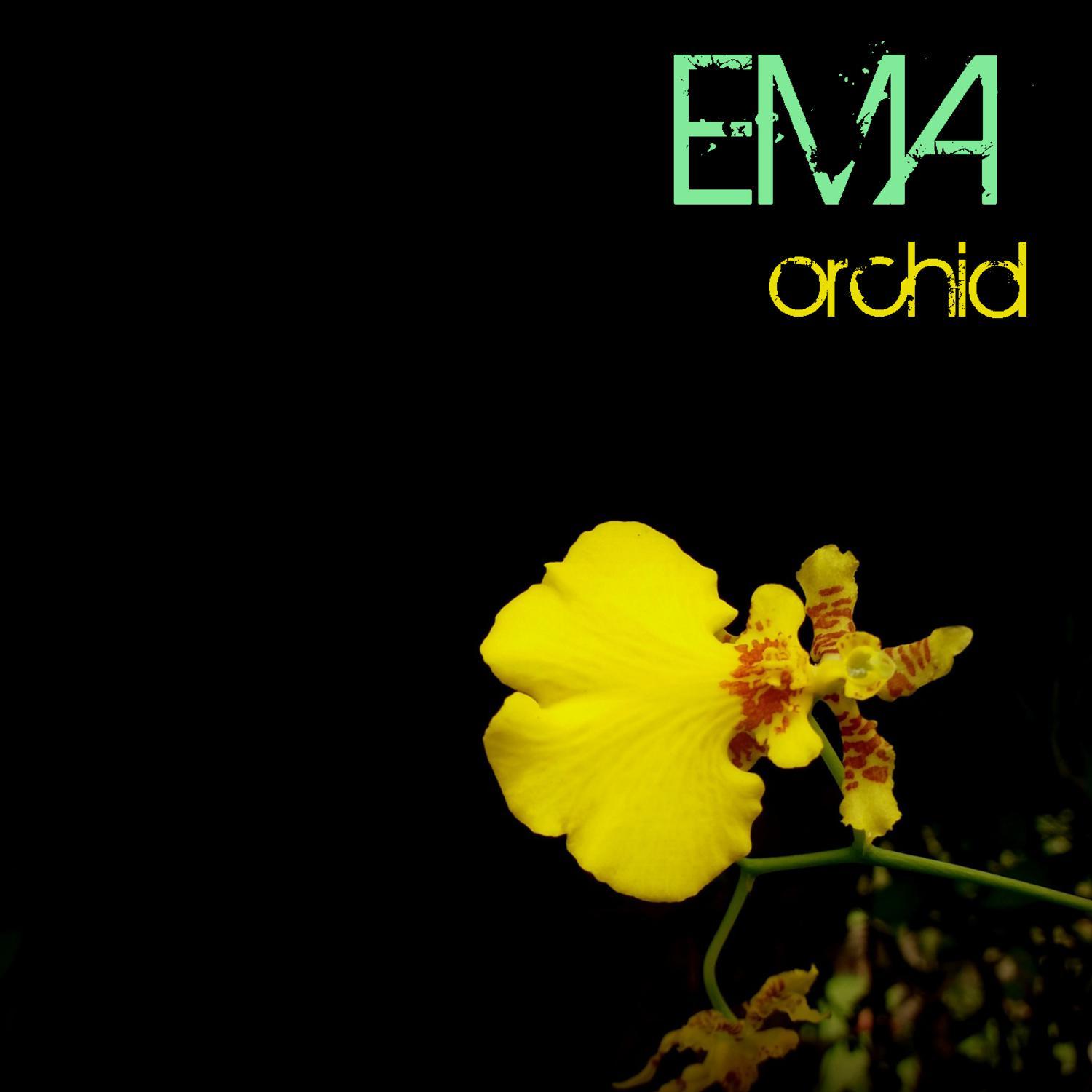 Archid