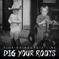 Dig Your Roots - Florida Georgia Line (TKS Instrumental) 无和声伴奏