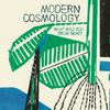 Modern Cosmology - A Time To Blossom