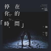 陶辰宇-停在你的时间 原版立体声伴奏