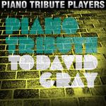 Piano Tribute to David Gray专辑