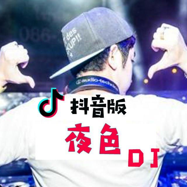 梁剑东-夜色 (抖音dj版)(DJ抖音热歌 remix)封面