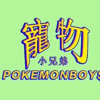 寵物小兄弟Pokémonboy$