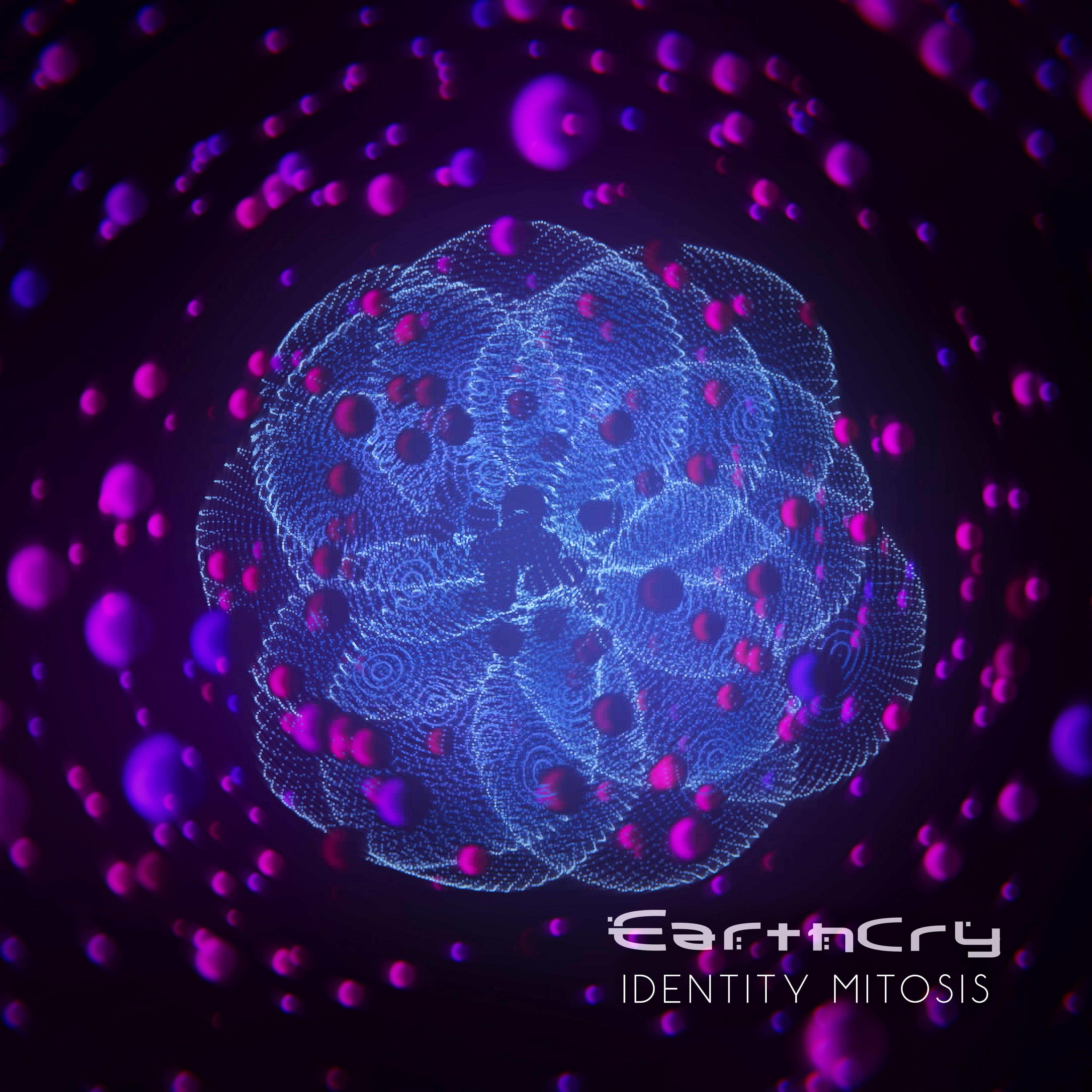 Identity Mitosis