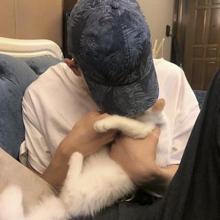 能不能说句晚安再走