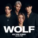WOLF专辑